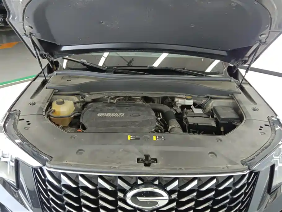 GAC Motor Trumpchi GS8 2022 — фото 10