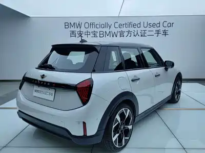 MINI MINI 2025