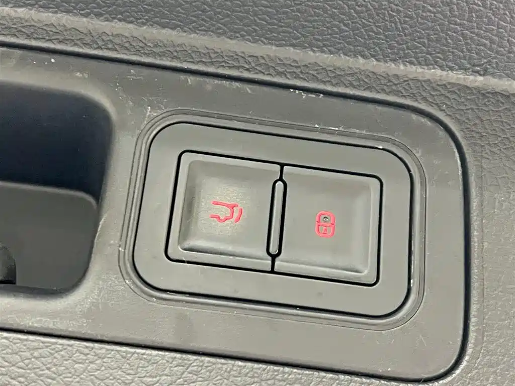 BYD PLUS New Energy 2023 — фото 11