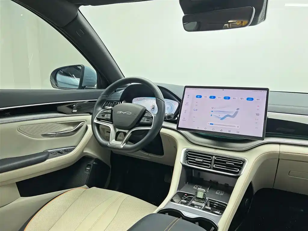 BYD PLUS New Energy 2023 — фото 24