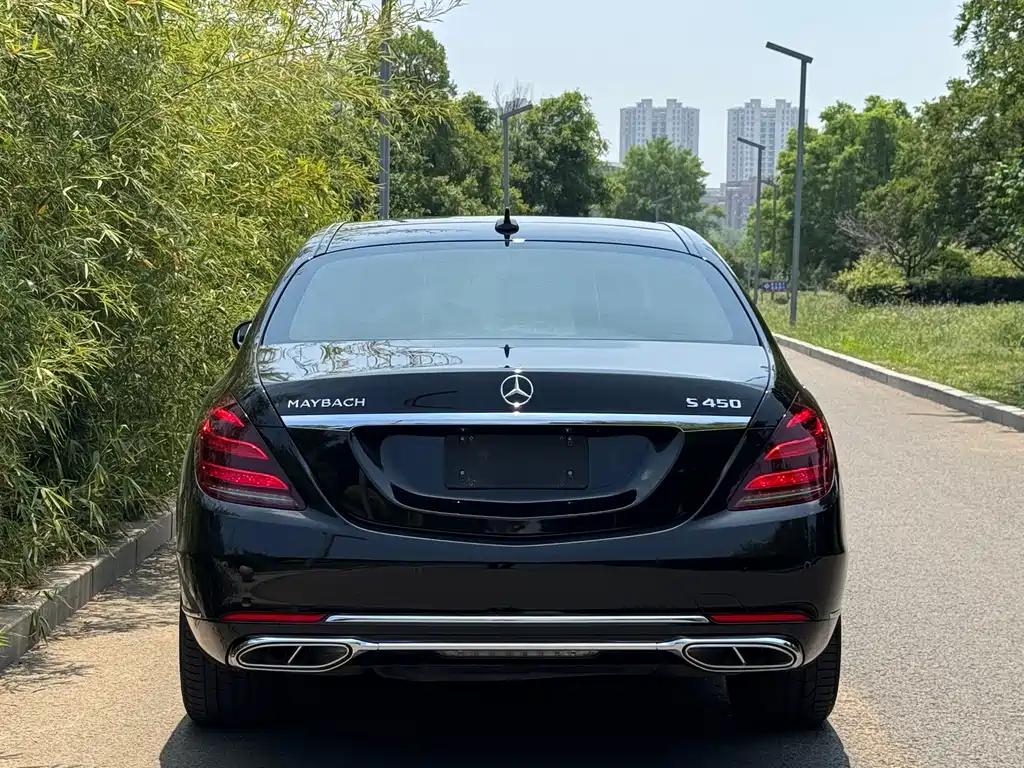 Mercedes-Benz S-Class 2019 — фото 17