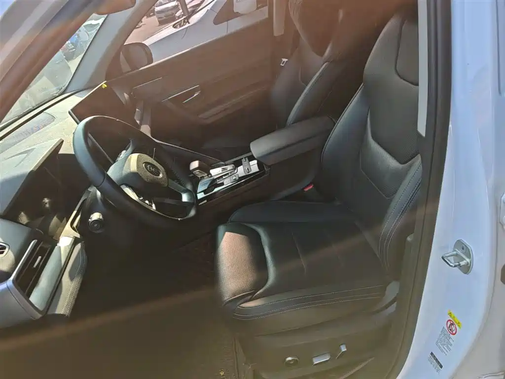 BYD Pro New Energy 2020 — фото 15