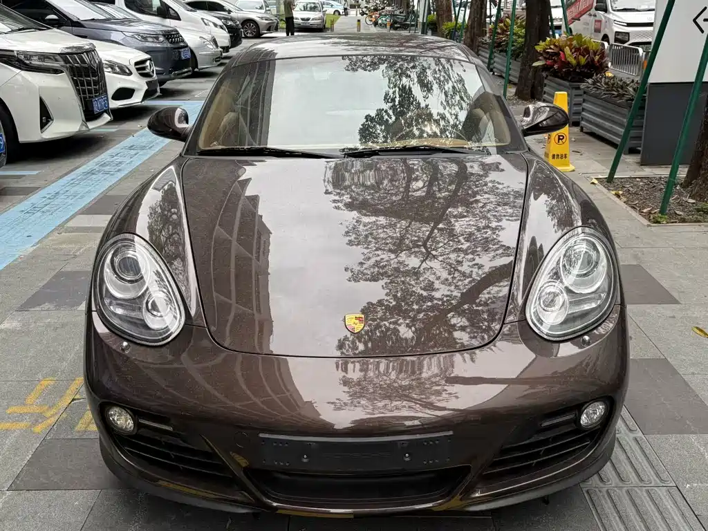 Porsche Cayman 2010 — фото 2