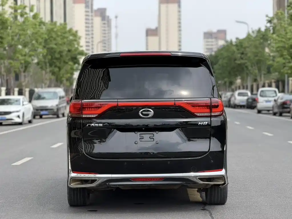 GAC Motor Trumpchi M8 2021 — фото 8