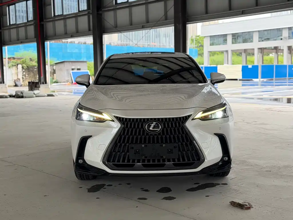 Lexus NX New Energy 2021 — фото 2