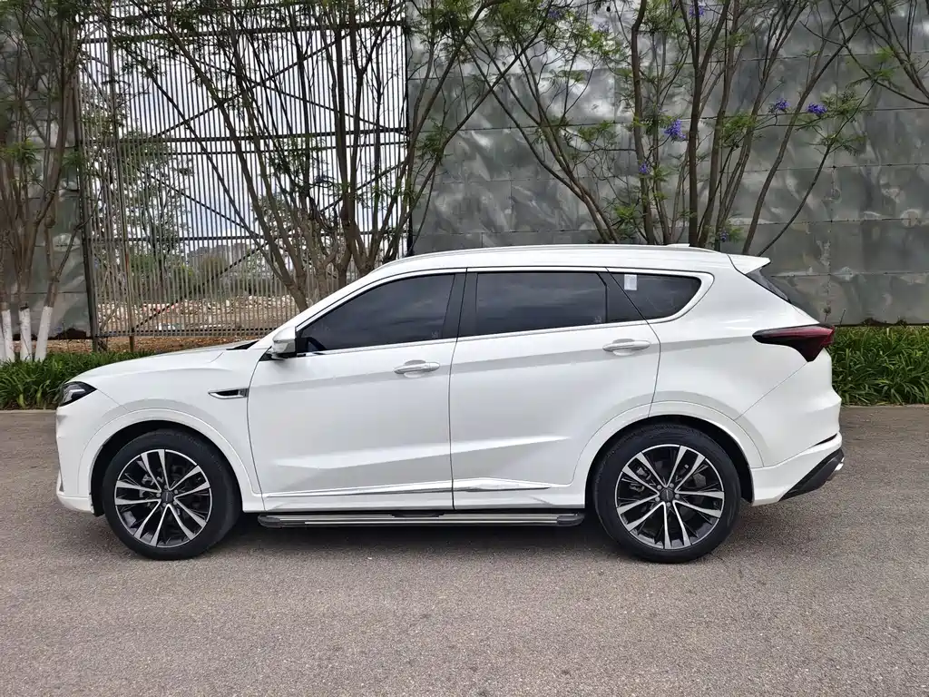 Jetour X70 PLUS 2020 — фото 14