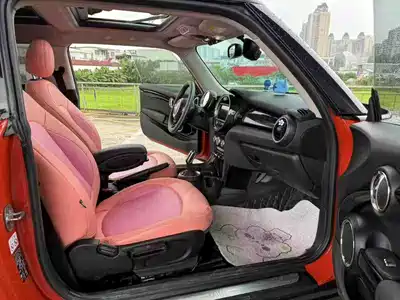 MINI MINI 2018