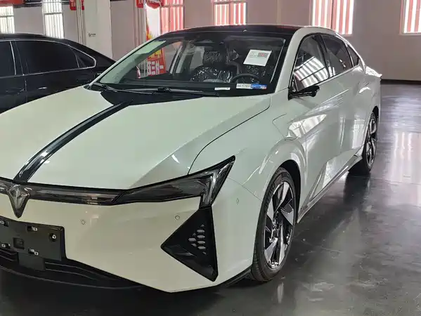 Lingxi Lingxi L 2025