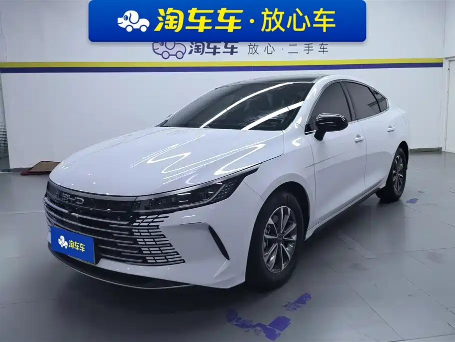 BYD Destroyer 05 2024 — фото 1