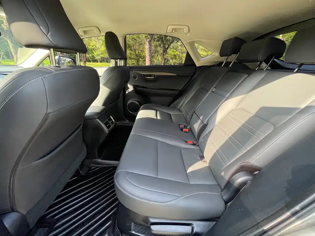 Lexus NX 2020