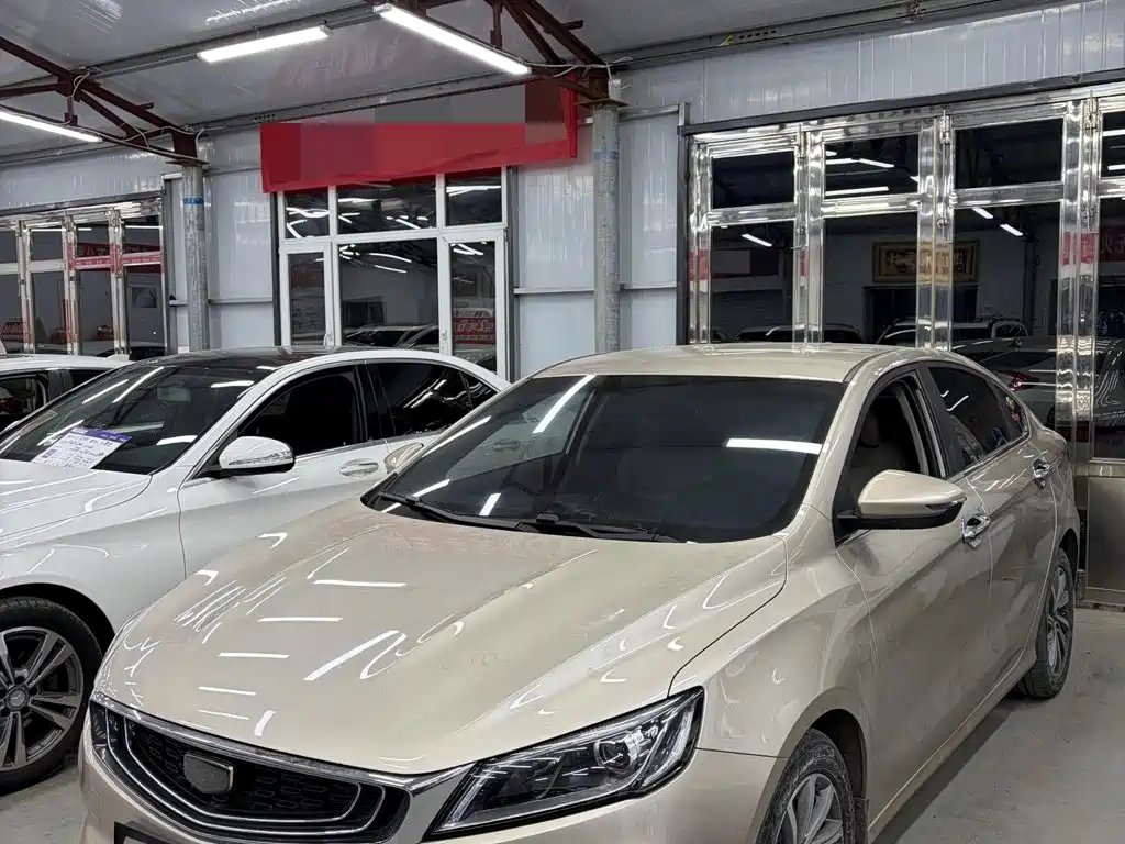 Geely Binrui 2019