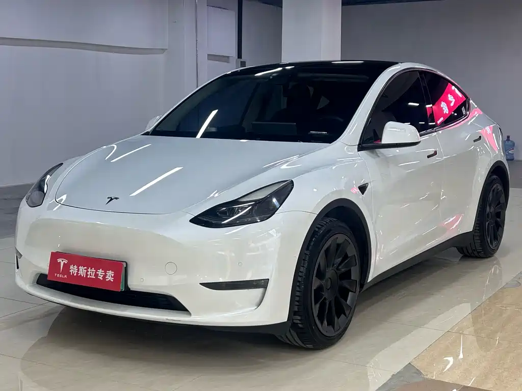 Tesla Model Y 2021 — фото 1