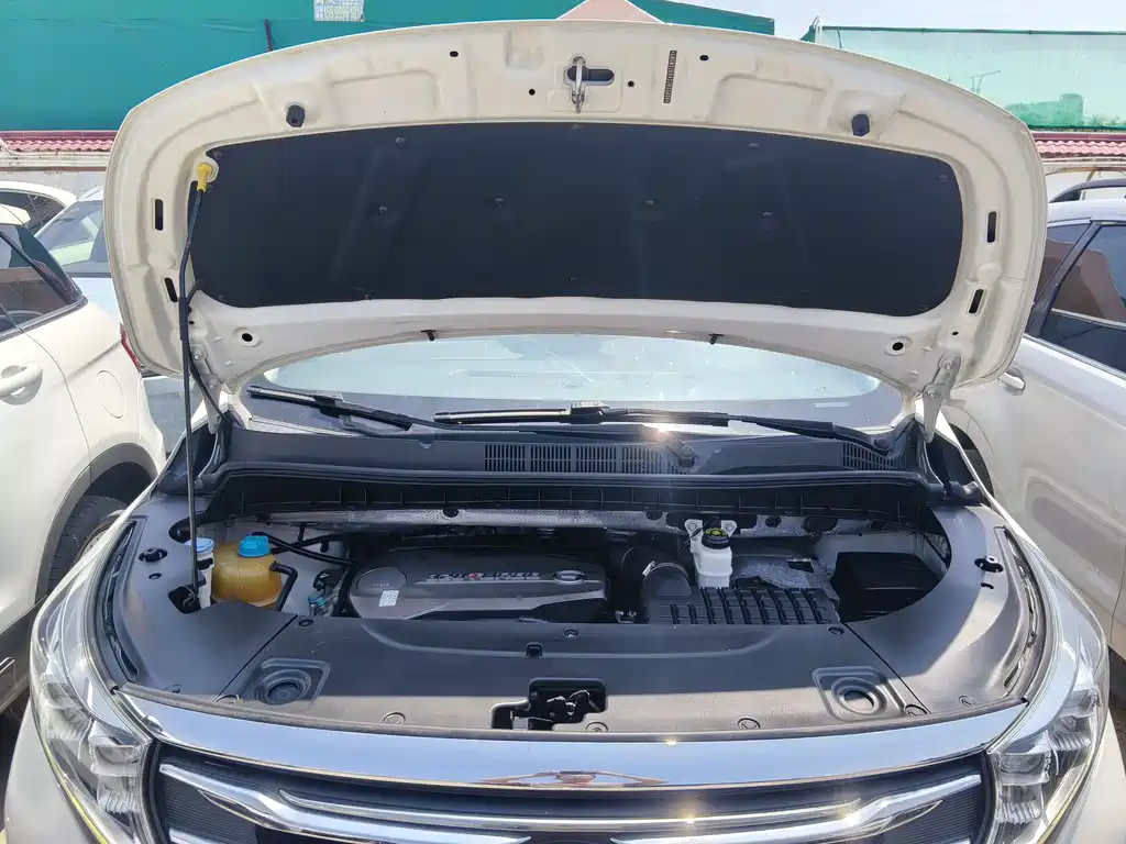 GAC Motor Trumpchi M8 2019 — фото 12