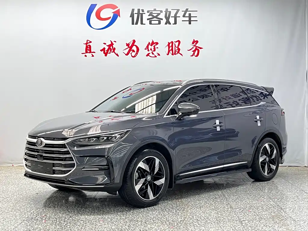BYD Tang New Energy 2023 — фото 1
