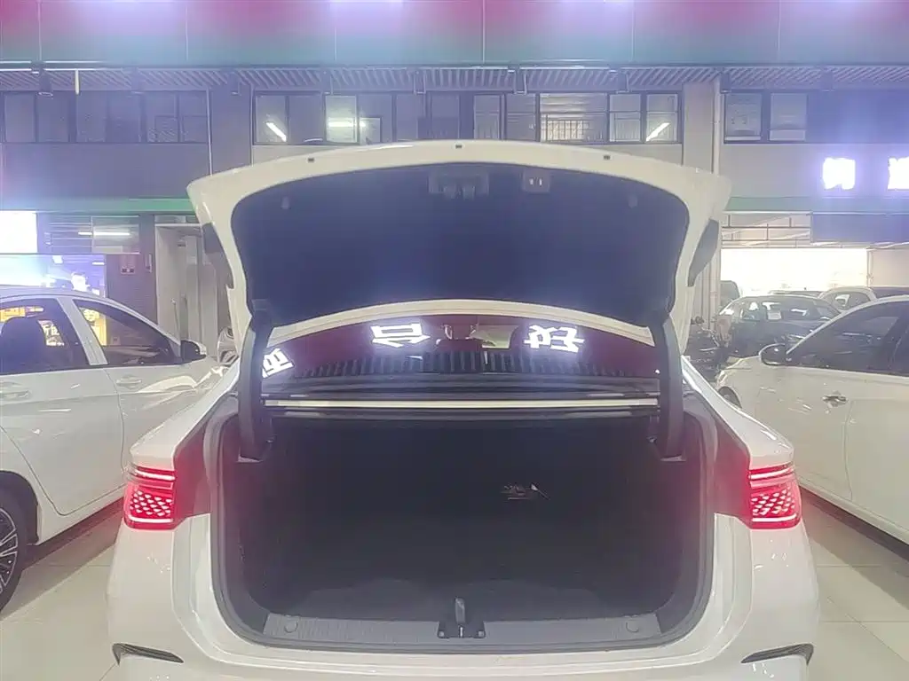 BYD Seal 2023 — фото 19
