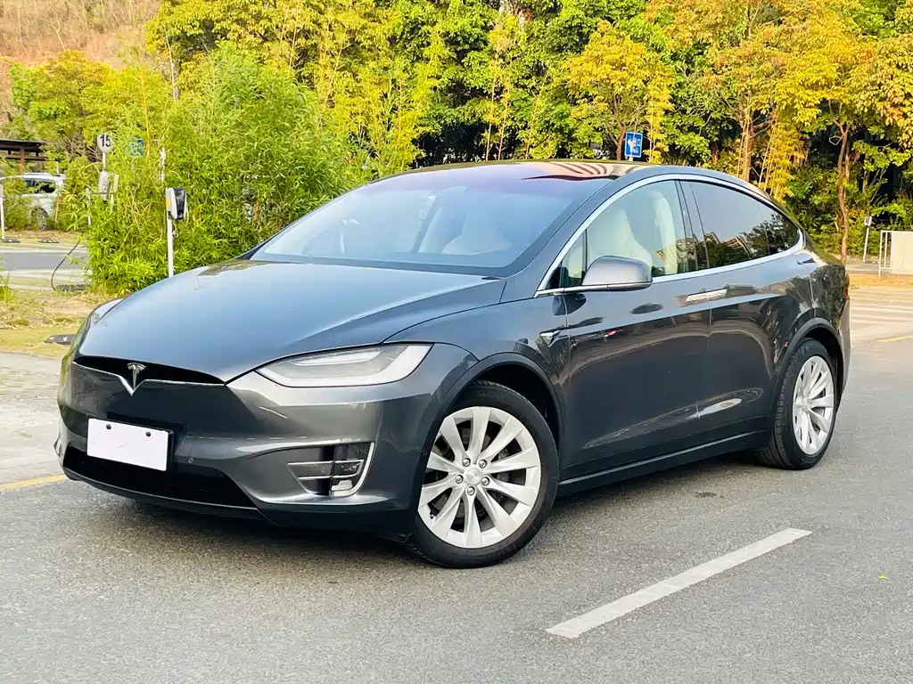 Tesla Model X 2019 — фото 1