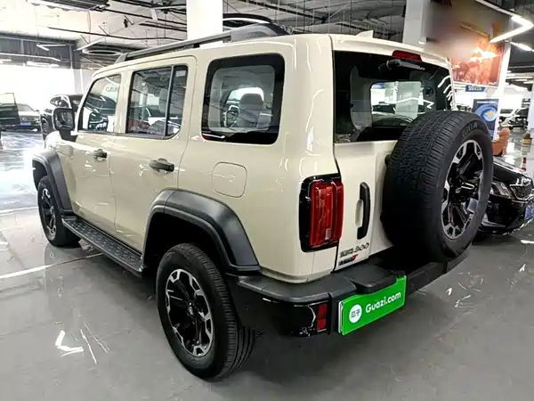 Tank 300 New Energy 2025