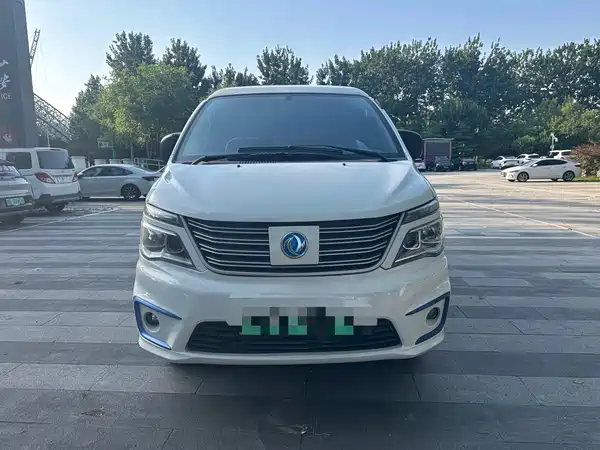 Dongfeng Lingzhi New Energy 2021