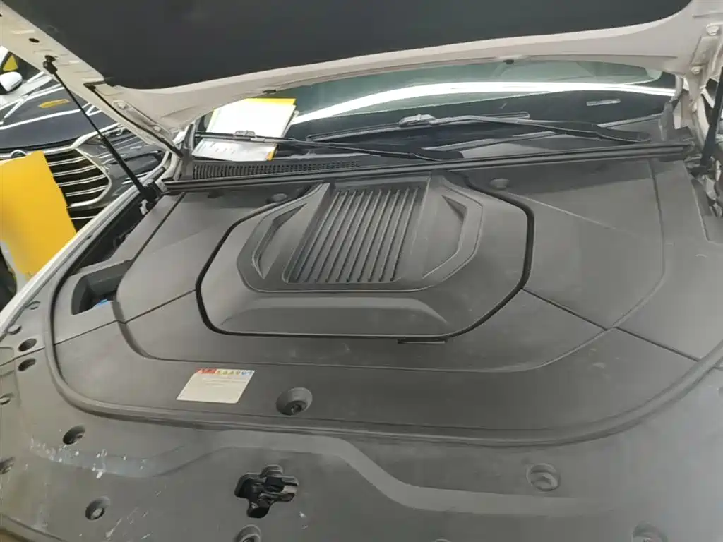 BYD Pro New Energy 2020 — фото 20