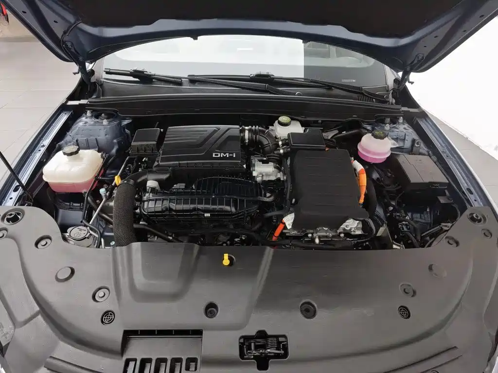 BYD Qin PLUS 2024