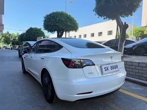 Tesla Model 3 2023