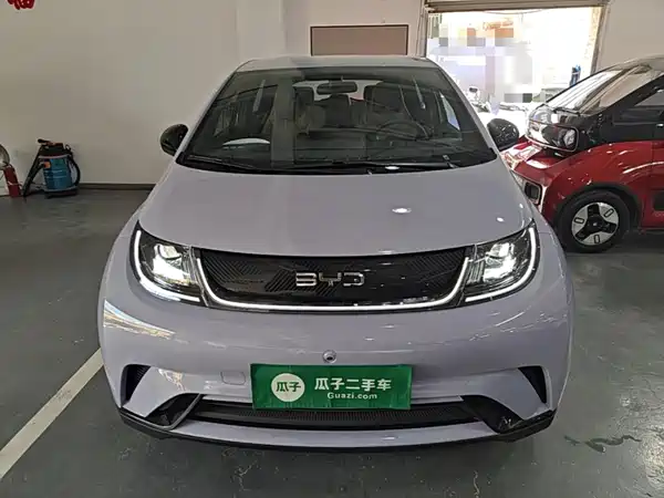BYD Dolphin 2024