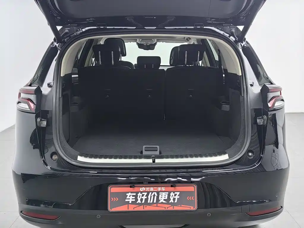 BYD Tang New Energy 2019 — фото 16