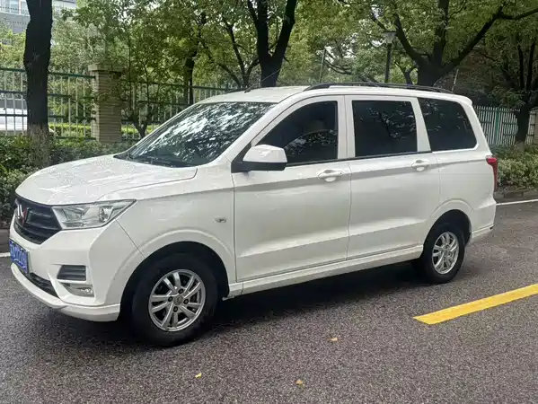 Wuling Hongguang 2022