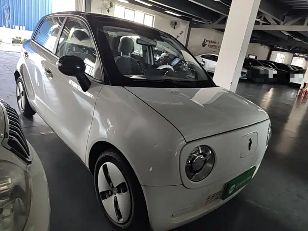 Ora Black Cat 2021