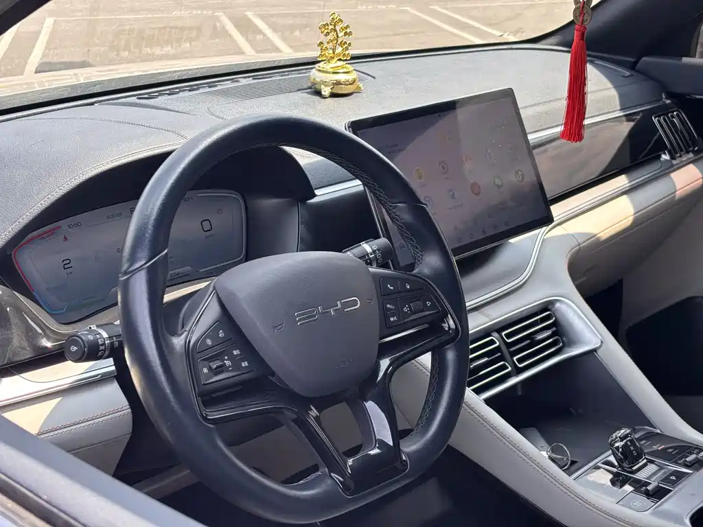 BYD Song PLUS New Energy 2024 — фото 4