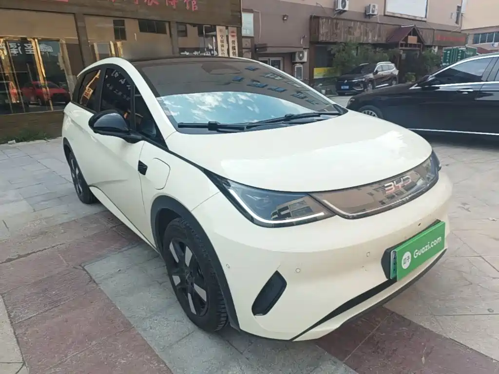 BYD Dolphin 2025