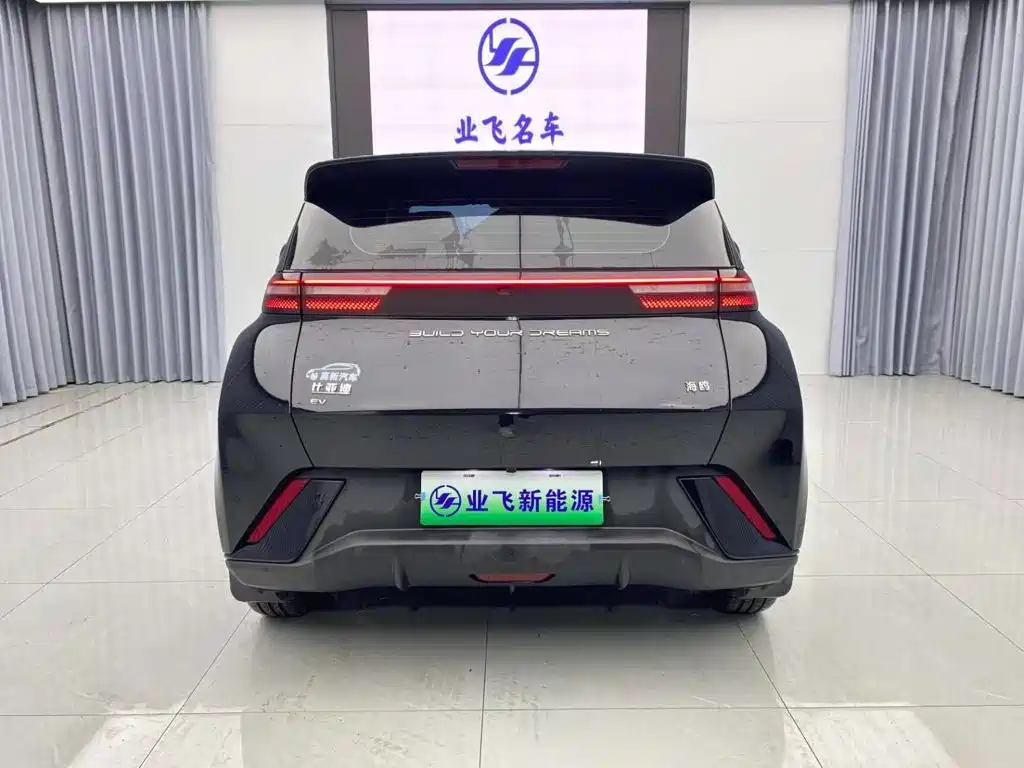BYD Seagull 2024