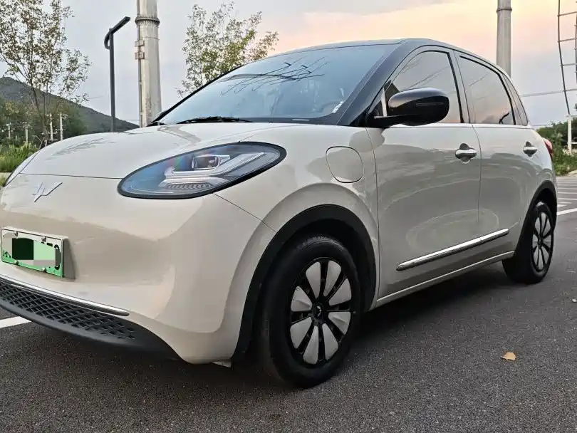 Wuling Bingo 2024