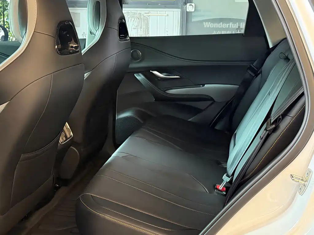 BYD Sealion 05 DM-i 2025 — фото 13
