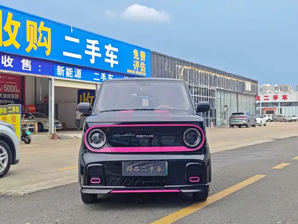 Geely Galaxy Panda 2024 — фото 2