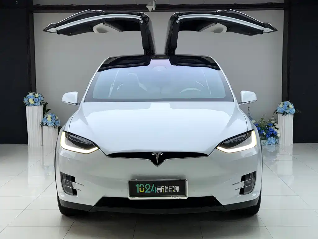Tesla Model X 2019 — фото 2