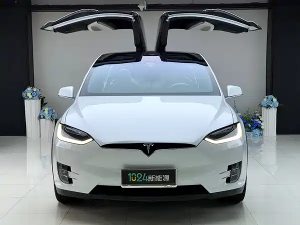 Tesla Model X 2019