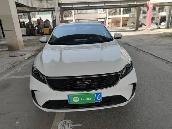 Geely Binrui 2021