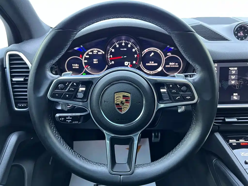 Porsche Cayenne 2020 — фото 11