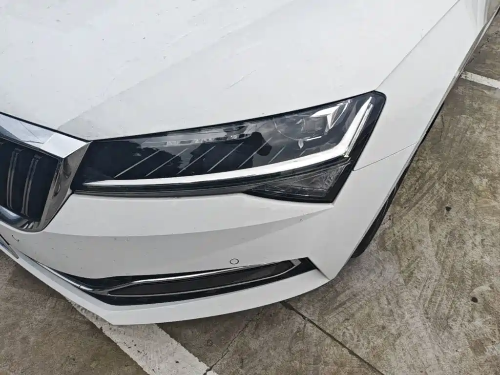 Skoda Speedy 2024 — фото 24