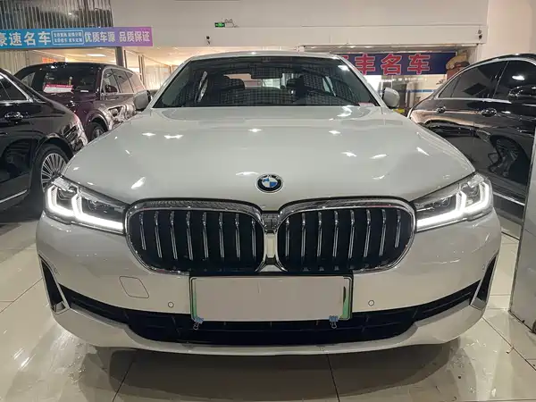 BMW 5 Series New Energy 2021