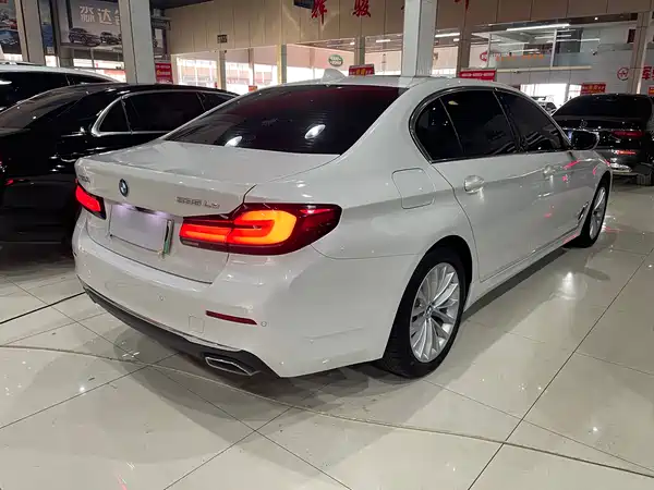 BMW 5 Series New Energy 2021