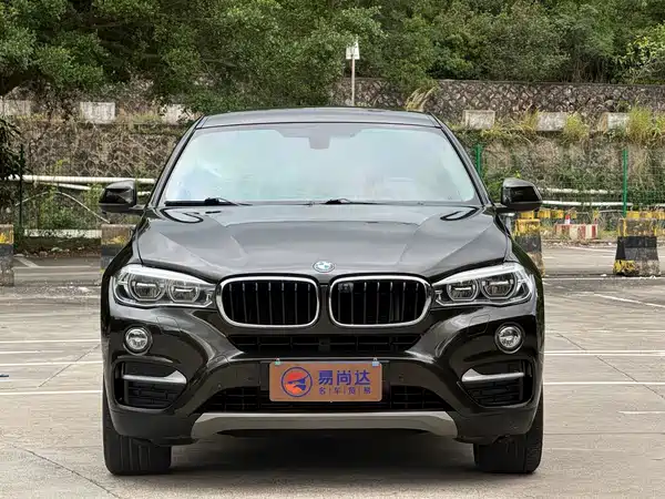 BMW X6 2019