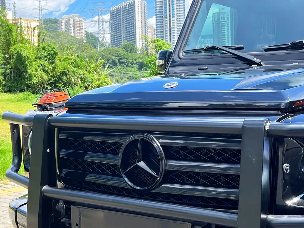 Mercedes-Benz G-Class AMG 2009 — фото 10