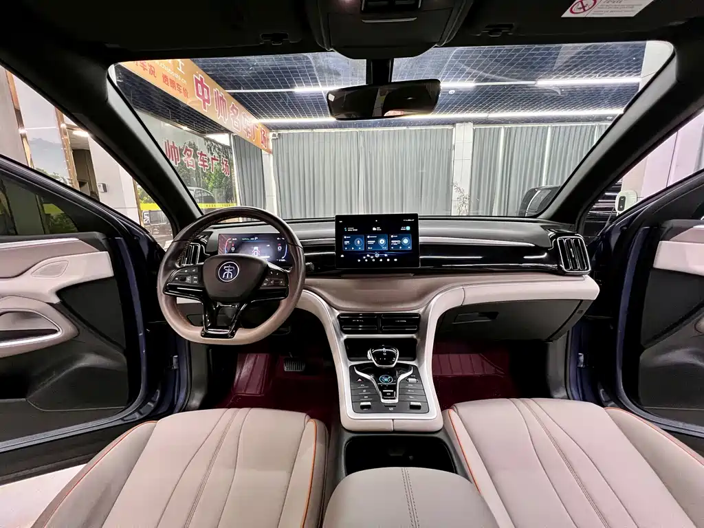 BYD Pro New Energy 2024 — фото 16