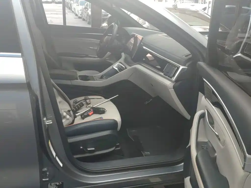 BYD Song PLUS New Energy 2024 — фото 20