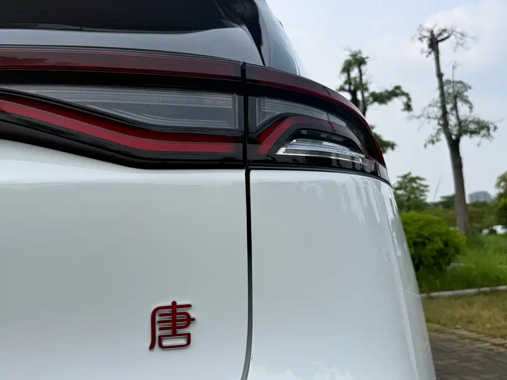 BYD Tang 2019 — фото 16