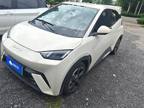 BYD Seagull 2024