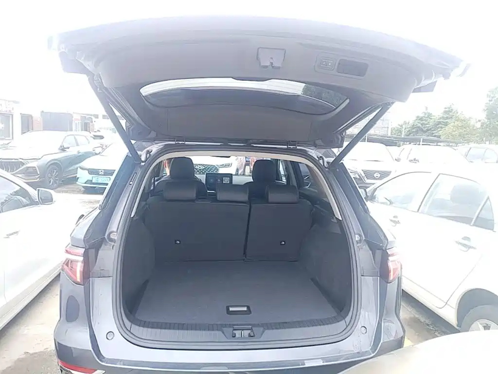 BYD Pro New Energy 2019 — фото 19