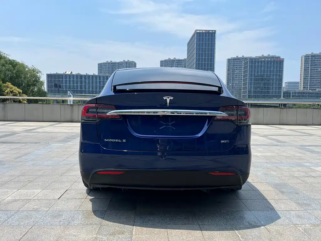 Tesla Model X 2017 — фото 8